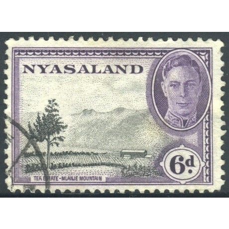 Nyasaland Protectorate 1945 - SG150 - 6d black/violet - Tea Estate - used