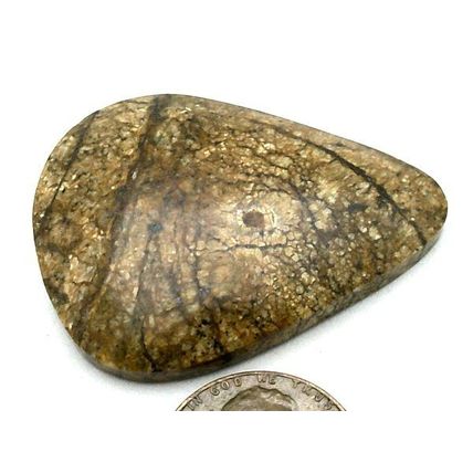 Picture Jasper Freeform Gemstone Cabochon 465