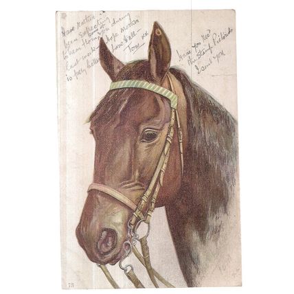MALTA One Farthing block of 4 stamps on postcard c.1913 horse head picture