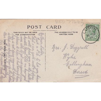 The Terrace, Wardown Luton Bedfordshire Postcard (BED77663)
