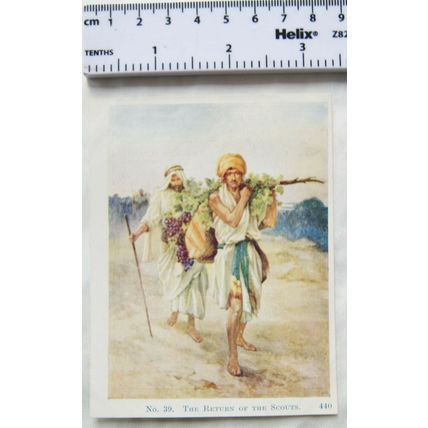 Vintage: Scholar's Lesson Pictures No. 39 The Return of the Scouts