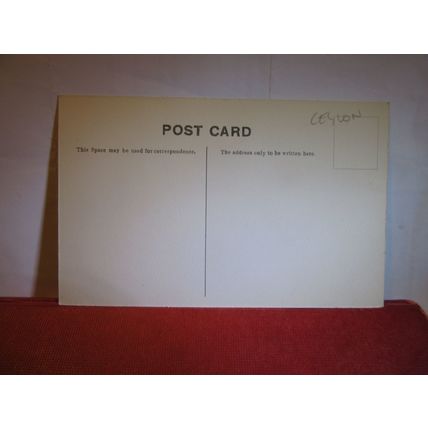 COLOMBO MUSEUM, CEYLON unused antique postcard Sri Lanka =