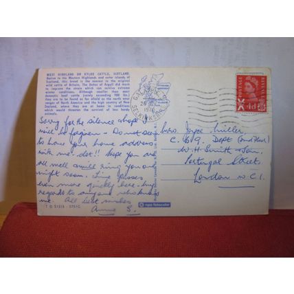 WEST HIGHLAND OR KYLOE CATTLE , SCOTLAND used postcard 1970 pm =