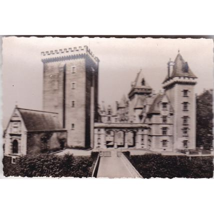 Pau Chateau Donjon France Picture card 8.5 x 6cm VGC