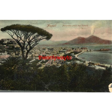 Naples, Panorama With Volcano, Italy, Paul Trabert, Postcard, 1900s