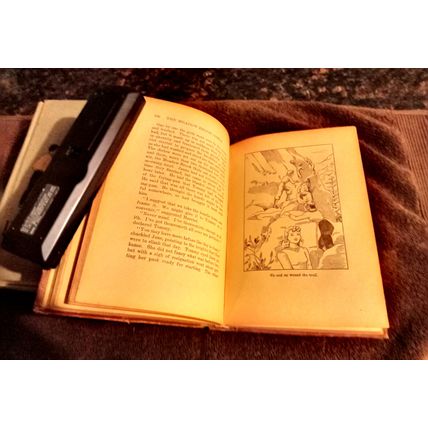 The Meadow Brook Girls In The Hills By Janet Aldridge 1914 Hardcover Great Shape