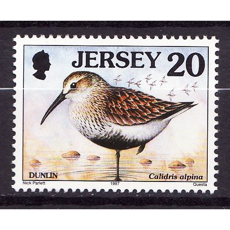 1997-99 Jersey, Sea Birds, Dunlin, SG No. 780