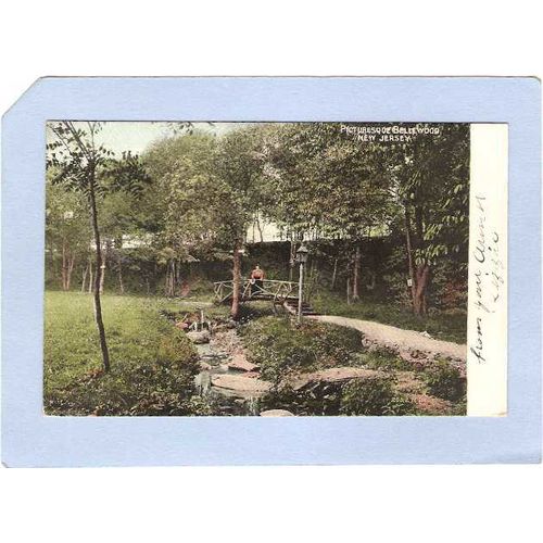 New Jersey Pattenburg Picturesque Bellwood~1099