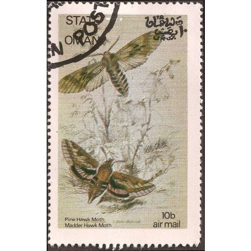 OMAN, BUTTERFLY, Pine Hawk Moth, beige 1972, 10b