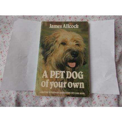 PET DOG (23/01) #