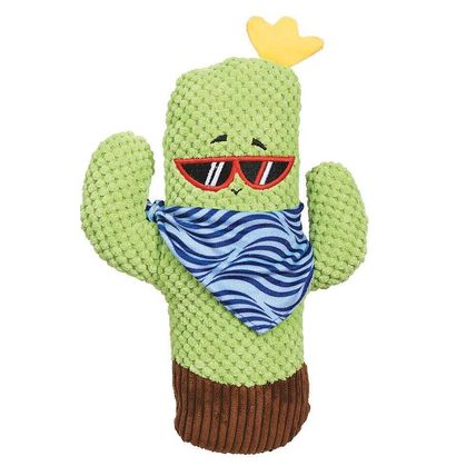 Zanies Sassy Cacti Toys Hat