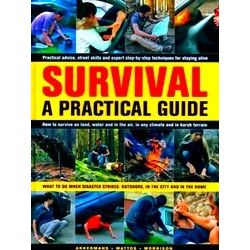 Survival: A Practical Guide: What To Do When Disaster Strikes