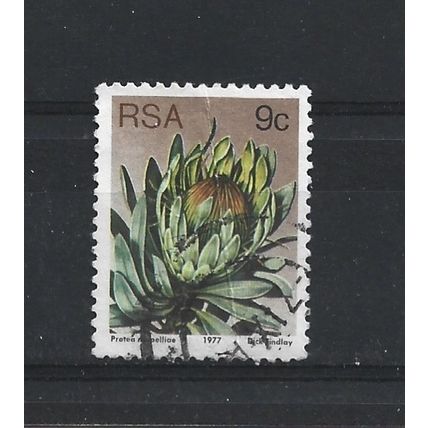 SouthAfrica.SG422 9c Protea Roupelliae.Fine Used.Sep25i