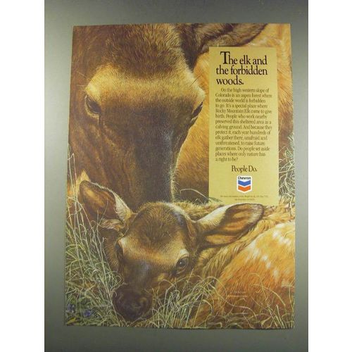 1991 Chevron Oil Ad - The elk and the forbidden woods