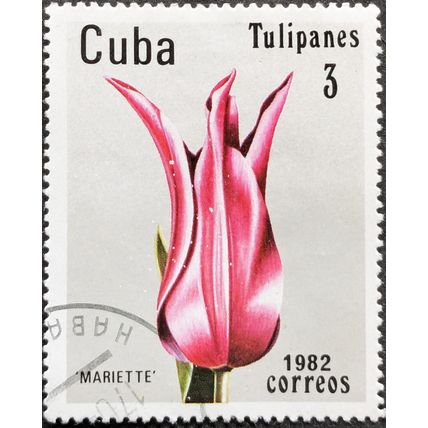 STAMP Cuba SG2801 1982 3c Tulips Mariette Used