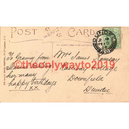Birthday Greetings Lily. Purity & Sweetness, Postcard 1908