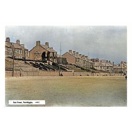 ptc1378 - Durham - An early view of Houses along Newbiggin Seafront - print 6x4
