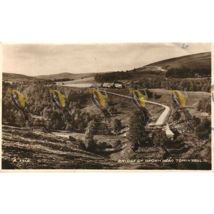 Bridge of Brown, Nr Tomintoul, Scotland, RP Valentines Postcard