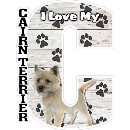 I Love My Cairn Terrier Fridge Magnet
