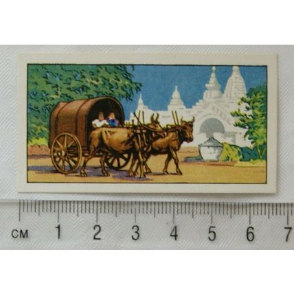 1962 Typhoo Travel through the Ages card No. 8 Carriage & Pair - Oxen