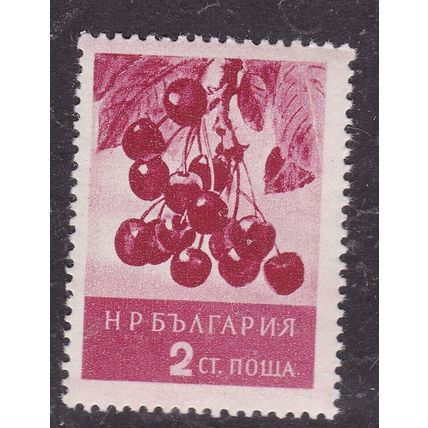 Bulgaria 1956 Cherries 2s SG 1024 Mint Hung VGC