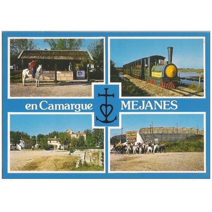 13 - MEJANES - CAMARGUE
