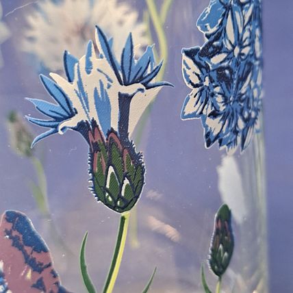 NEW 4 Royal Norfolk BUTTERFLY GLASSES Blue Flowers Tumblers Drink 16 oz