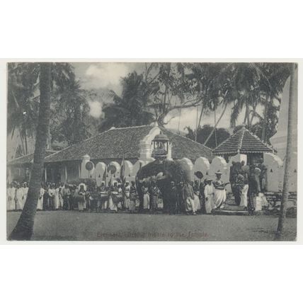 Ceylon Sri Lanka Kandy Esala Perahera Elephant carrying Tribute to Temple RPPC
