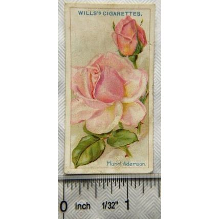 1926 Wills Roses No. 43 Muriel Adamson