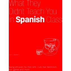 What They Didn't Teach You In Spanish Class