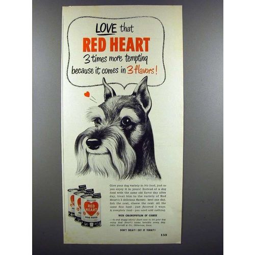 1952 Red Heart Dog Food Ad - Scottish Terrier