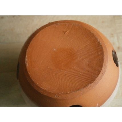 Wiltshire Studio Pottery Garlic Pot