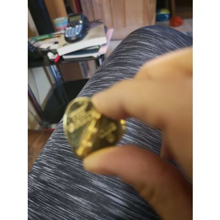 Variety Club Badge