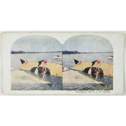 Lot of 3 Antique Color Stereoview Cards, Sailing, Capsizing, Diving