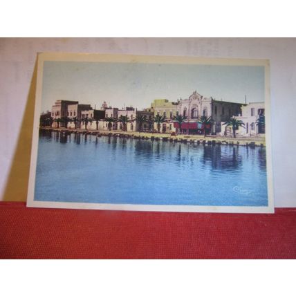 LE PORT, SOUSSE, Tunisia unused antique postcard =