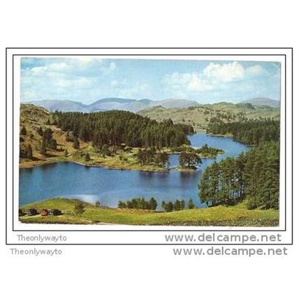 TARN HOWS, CUMBRIA, ENGLAND, 1966, Postcard