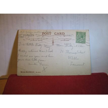 RIVAL PETS, girl with collie dog used antique postcard 1915 pm =