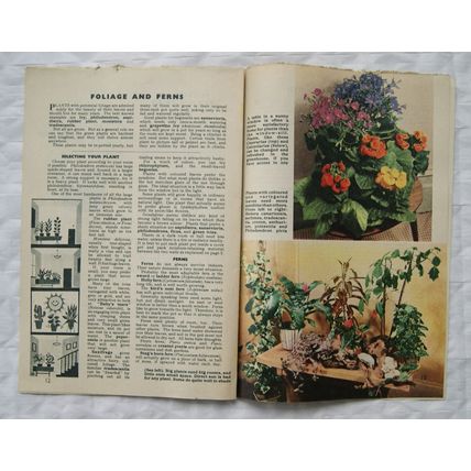 1961 Pot Plants and Bulbs, Guide to successful homemaking vol. 2
