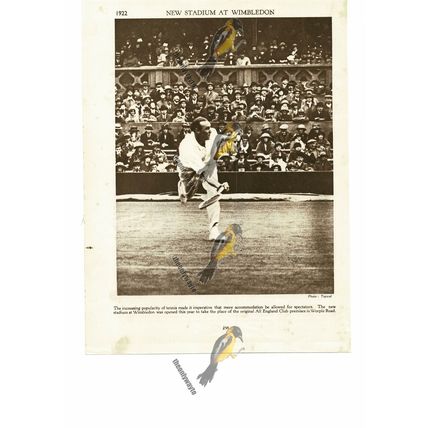 New Stadium At Wimbledon, Tennis Popular, 1922, Book Illustration (Print), 1935