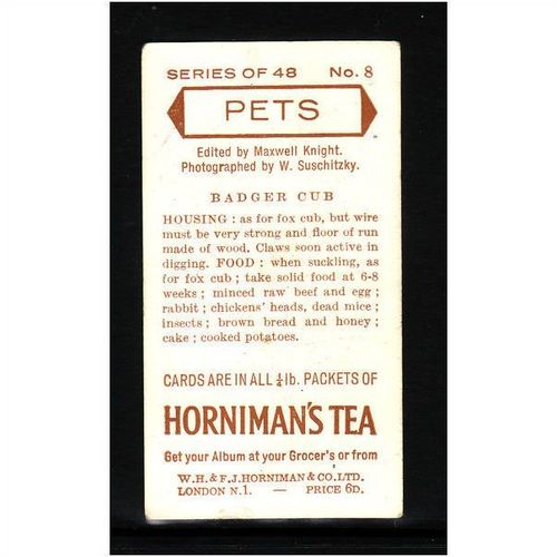 HORNIMANS PETS BADGER CUB No 8 Mint