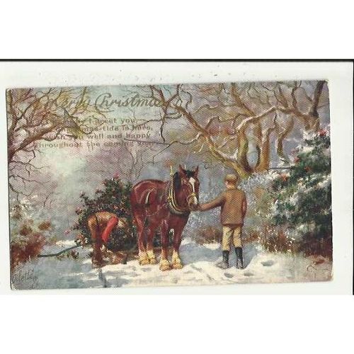 9955 HOLLY DAYS Tuck Oilette Postcard