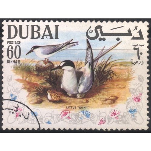 UAE (Dubai) 1968 - SG316 - 60d - Little Terns - used