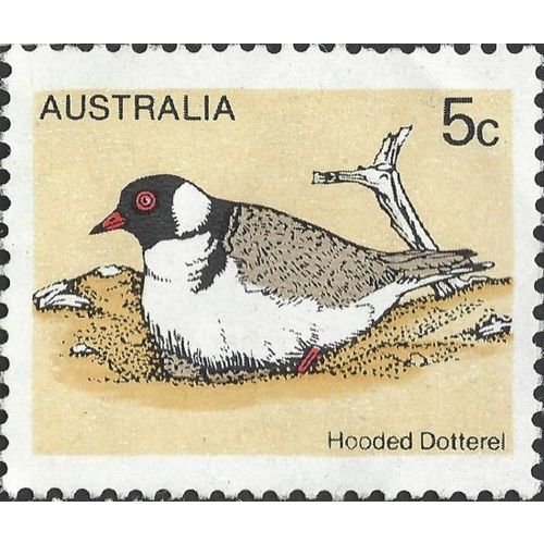AUSTRALIA, BIRD, Hooded Dotterel, yellow 1978, 5c, #3