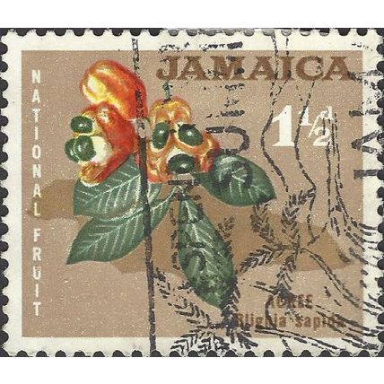 JAMAICA, FRUIT, FRUIT, Ackee, Blighia sapida, brown 1964, 1½d, #2