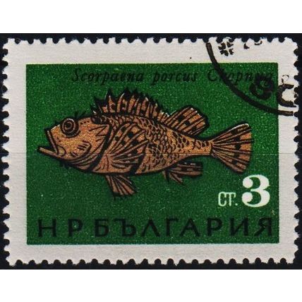 Bulgaria. 1965 3s S.G.1532 Used