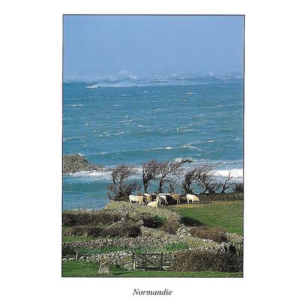 18 366: Normandie: La Pointe de la Hague (Cotentin)