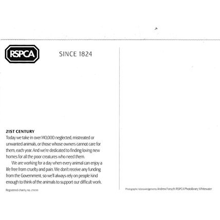 RSPCA Advertising Postcard unused VGC