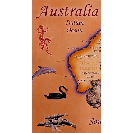 Australia 14 X 20 Illustrated Country Map On Canvas Wood Framed Oceans & Sealife