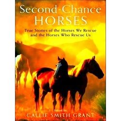 Second Chance Horses True Stories Of The Horses We Rescue And The Horses Who Res