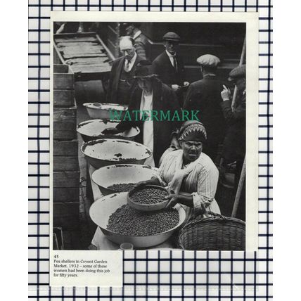 (7586) Covent Garden Market Pea Shellers - 1980s Cutting